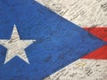 Flag of Puerto Rico with signatures