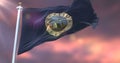 Flag of Rochester at sunset, city of Minnesota, United States of America - loop