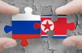 Flag of Russia painted on wall. Russia and North Korean military collaboration Royalty Free Stock Photo