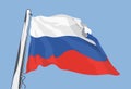 Flag of Russia. Waving in the wind.