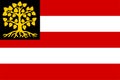 Flag of s-Hertogenbosch City and Municipality (North Brabant or Noord-Brabant province, Kingdom of the Netherlands,