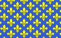 Flag of Saint-Denis, France