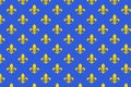 Flag of Saint-Denis in Seine-Saint-Denis, France