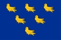 Flag of Sussex in England