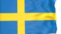 Flag of Sweden waving in the wind in front of white background.