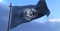 San Diego Padres team flag, american professional baseball team, waving - loop