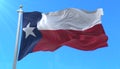 Flag of Texas state, region of the United States