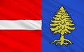 Flag of Thann, France