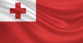 Flag of Tonga Flying in the Air Royalty Free Stock Photo