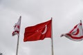 flag of Turkey and Northern Cyprus against the background of a cloudy sky in winter 1 Royalty Free Stock Photo