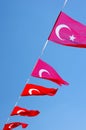 The Flag of Turkey Royalty Free Stock Photo