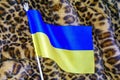 Flag of Ukraine on the background of leopard fur. The concept of confronting Russia\'s military aggression. Royalty Free Stock Photo