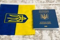 Ukraine, Chernihiv, July 5, 2023: Flag of Ukraine with coat of arms and passport of citizen of Ukraine on light gray