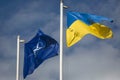 Flag of Ukraine and NATO flag