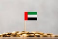 The Flag of United Arab Emirates with Coins.