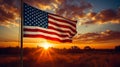 The flag of the United States of America flutters in nature among beautiful flowers against the backdrop of the setting Royalty Free Stock Photo