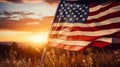 The flag of the United States of America flutters in nature among beautiful flowers against the backdrop of the setting Royalty Free Stock Photo