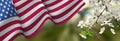 flag of the United States of America waving in the wind and beautiful holiday flowers Royalty Free Stock Photo