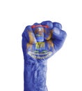 Flag of US Michigan state painted on human fist like victory Royalty Free Stock Photo