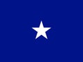 United States Airforce One Star General Flag
