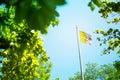 Flag of Vatican City, Vatican flag waving in the wind between trees Royalty Free Stock Photo