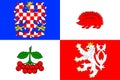 Flag of Vysocina Region in Czech Republic