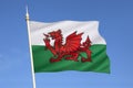 Flag of Wales - United Kingdom Royalty Free Stock Photo