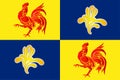 Flag of Wallonia in Belgium