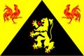 Flag of Walloon Brabant in Belgium
