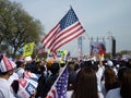 Flag Waving Protest at the Mall