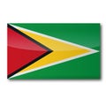 Flag of Guyana Royalty Free Stock Photo