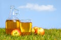 Flagon and pint of apple cider Royalty Free Stock Photo