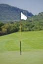 Flagpole, Ball, Green & Fairway Royalty Free Stock Photo