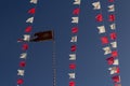 A flagpole with the flag of the Divine Eternal Father.