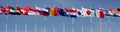 Global Flags