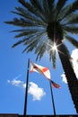 Flags against the light Royalty Free Stock Photo