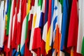 flags of Coutries during the international Meeting