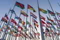 Flags of the different countries against the blue sky Royalty Free Stock Photo