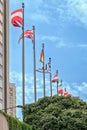 Flags of different countries near the embassy of a state institution.