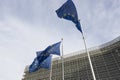 Flags of the European Union in front of the European Commission building in Brussels, Belgium Royalty Free Stock Photo