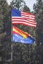 Flags in the forest