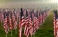 Flags in the Healing Fields for 9/11