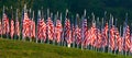 Flags in the Healing Fields for 9/11