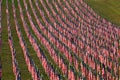 Flags in the Healing Fields for 9/11