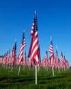 Flags in the Healing Fields for 9/11