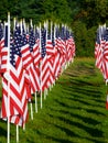 Flags in the Healing Fields for 9/11