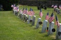 Flags Honor the Fallen