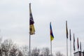 Flags in honor of volunteer battalions in Kiev in Troyeschina Royalty Free Stock Photo