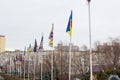 Flags in honor of volunteer battalions in Kiev in Troyeschina Royalty Free Stock Photo