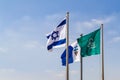 Flags of Israel in the wind Royalty Free Stock Photo